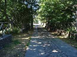 Bosco Ciancio