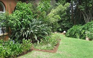 Treetops Guesthouse