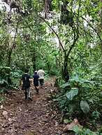 Huasquila Amazon Lodge