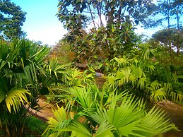 Huasquila Amazon Lodge