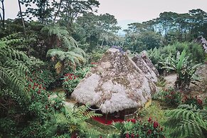 Huasquila Amazon Lodge