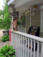 Bear Tree Lodge