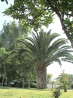 Imperador
