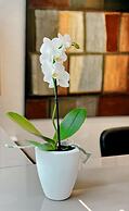 SM Hotel Sant Antoni