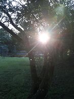 African Silhouette Guesthouse