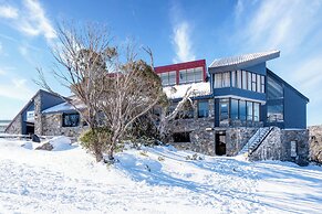 Snowy Gums