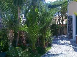 Danae Villa