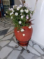 Anna Studios
