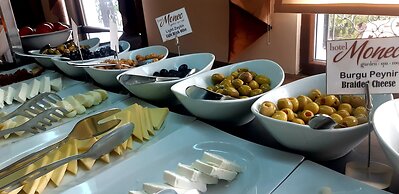 Hotel Monec
