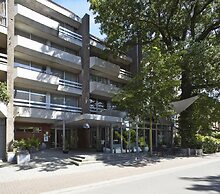 Corbie Mol