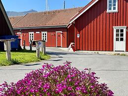 Anker Brygge