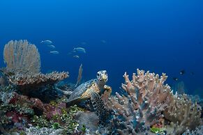 Six Senses Laamu