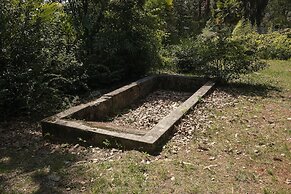 Monte Verità
