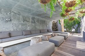 POD Camps Bay