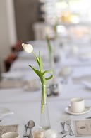White Lodge Constantia Guest House