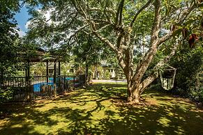 Kauri Park Motel