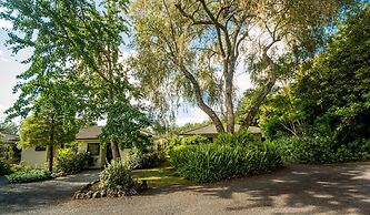 Kauri Park Motel