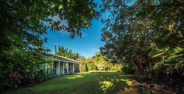 Kauri Park Motel