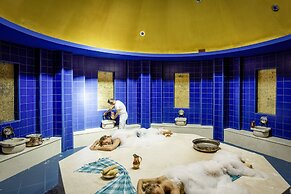 ROBINSON ÇAMYUVA Adults Only- All Inclusive