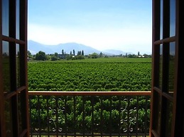 TerraViña