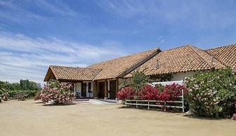 TerraViña
