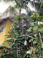 Maison Tulum