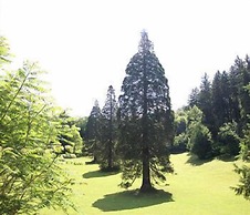 Aqua Roma