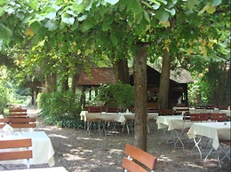 Dammenmühle