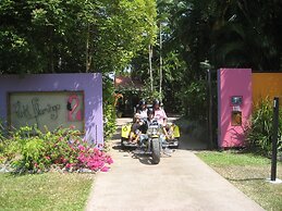 Pink Flamingo Resort
