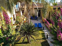 Nikis House