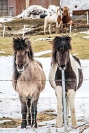 Hotel Skaftafell