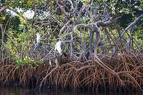 Keur Saloum Resort