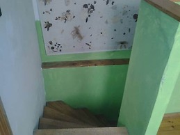 Ace Hostel