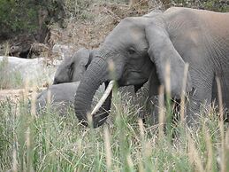Shikwari Nature Reserve