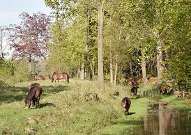 Zoomers aan het Bos