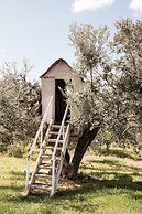 Podere l'Agave