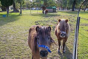 Lake Hume Holiday Park