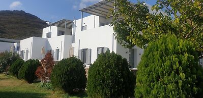 Indigo Studios