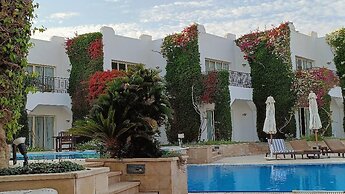 Eden Rock Hotel