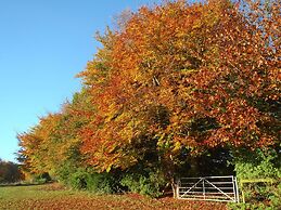 Manor Farm B & B