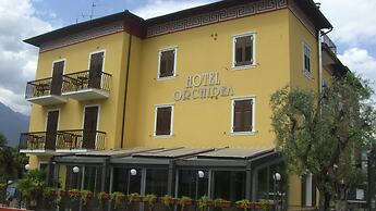 Orchidea
