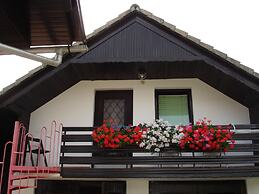 Apartmaji Vidic- Guest House