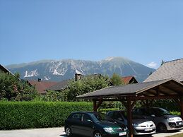 Apartmaji Vidic- Guest House