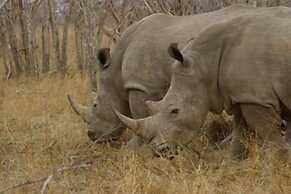 Matumi Game Lodge