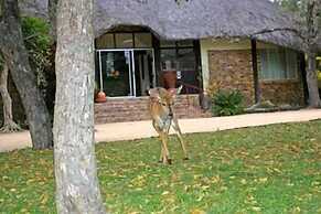 Matumi Game Lodge