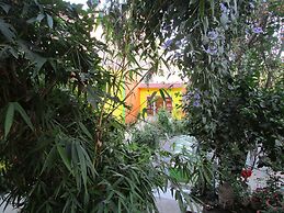 Hotel Zen
