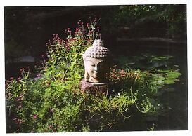 Hotel Zen