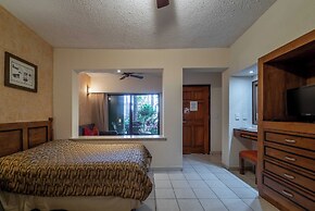 Hotel Palmas De Cortez