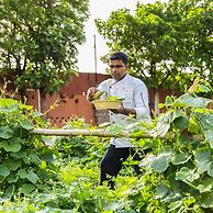 Vijayshree Resort, Hampi