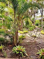 Ballina Beach Resort